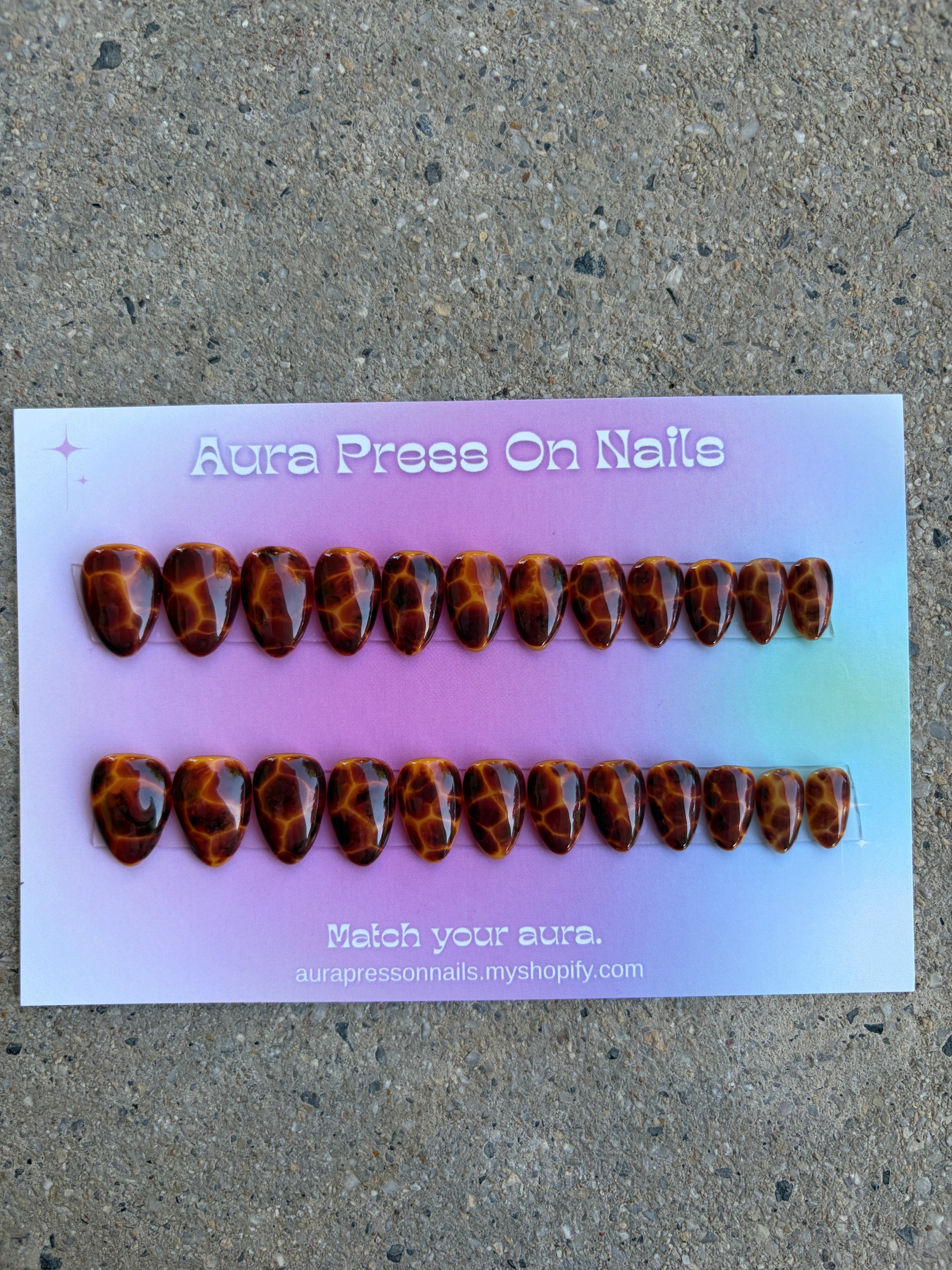 Tortoise Shell Set