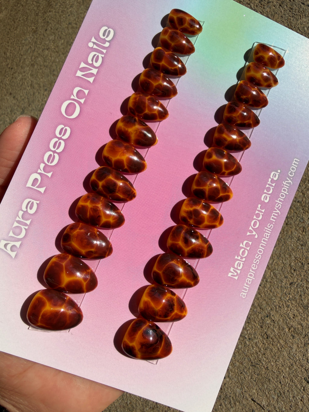Tortoise Shell Set