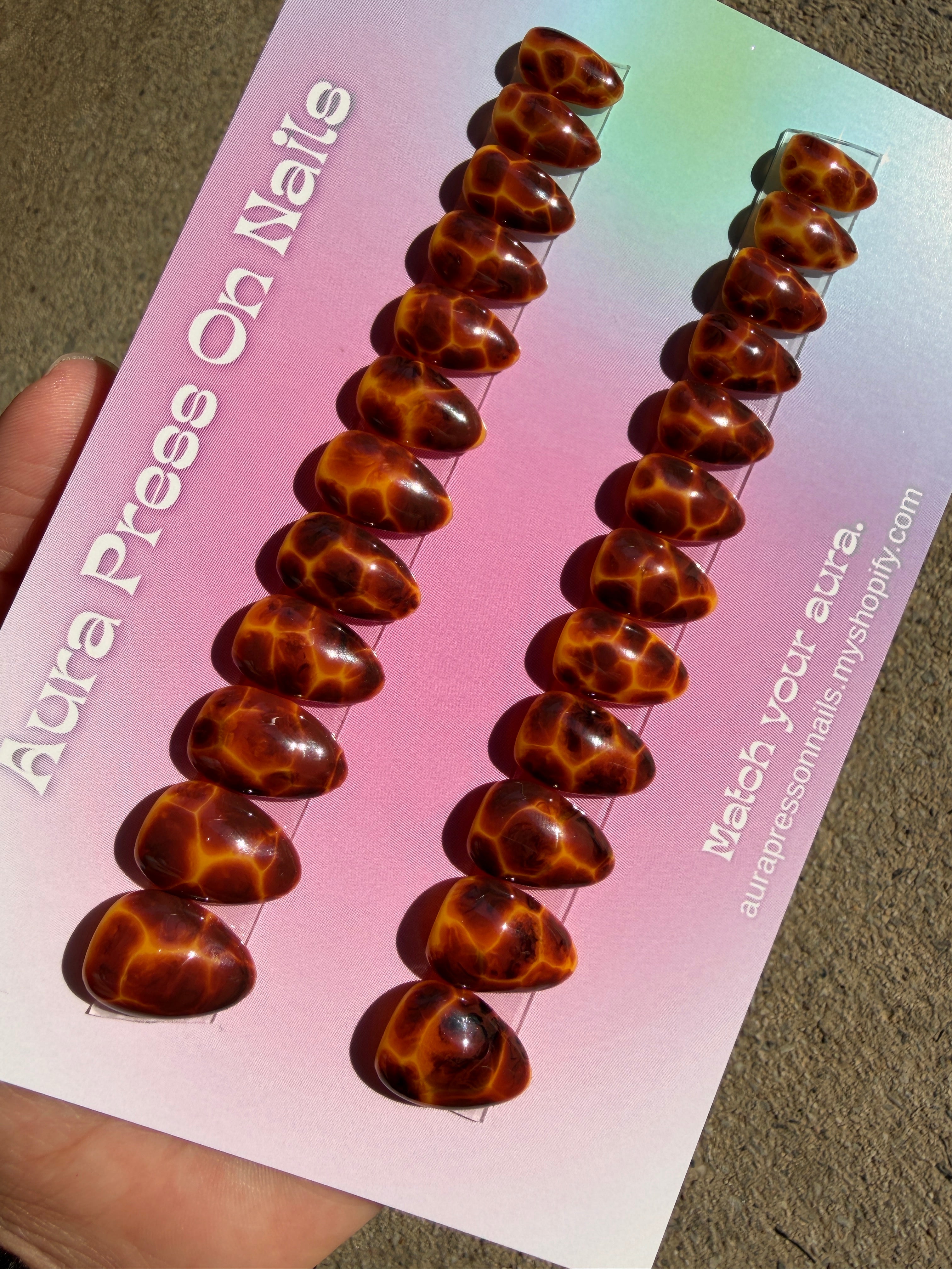 Tortoise Shell Set
