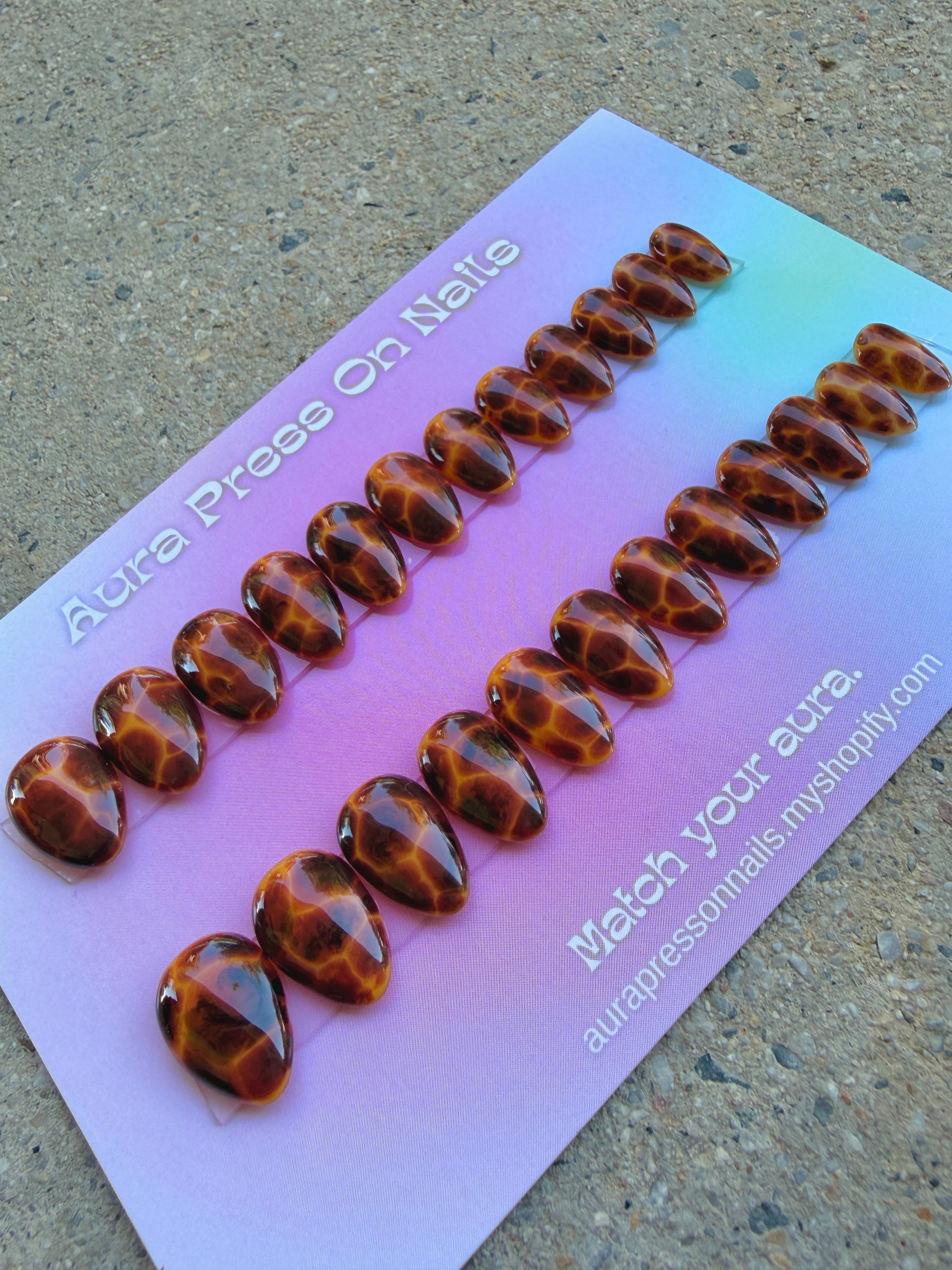 Tortoise Shell Set